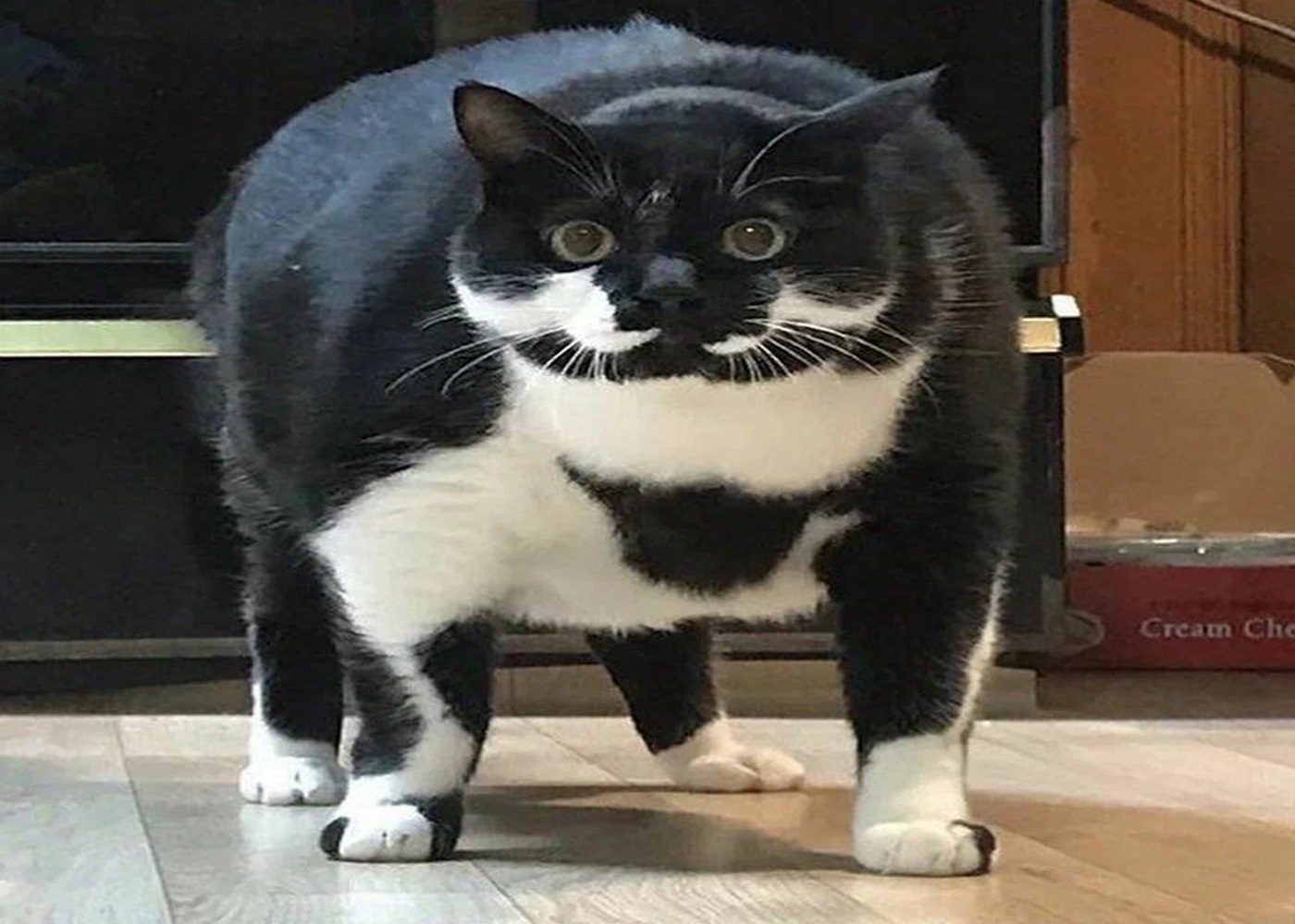 Hesk